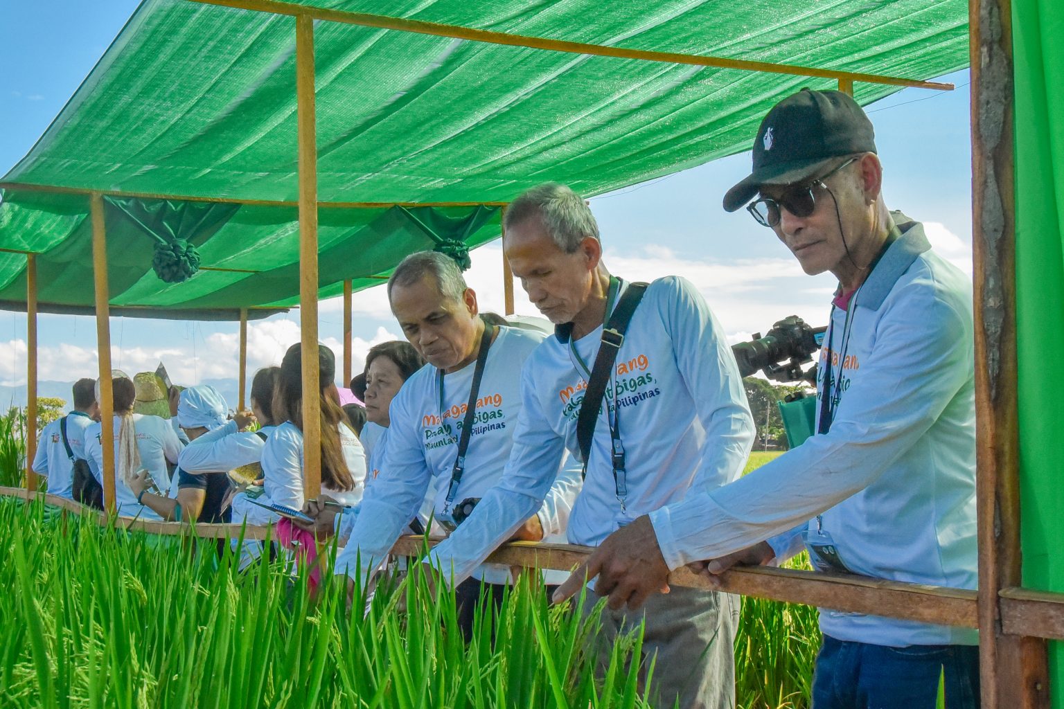 16th National Rice Technology Forum focuses on ramping up local rice production