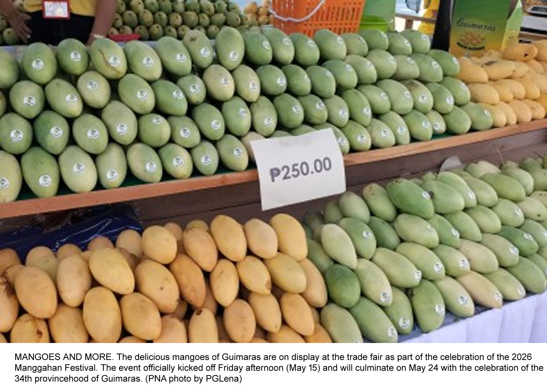 Guimaras Boosts Tourism Drive as 2026 Manggahan Festival Targets P100-M Revenue