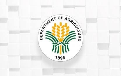 NorMin agri groups urged to create rice mill facilities