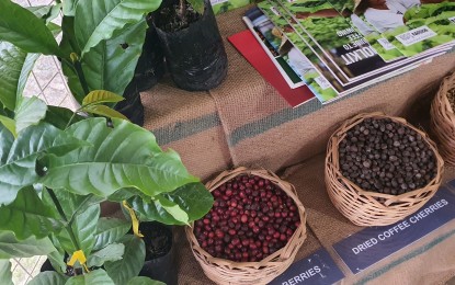 DA invites firm to bid for coffee supply on expanded projects