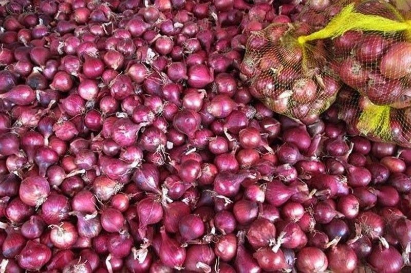 Onion prices more than double in a year &ndash; DA