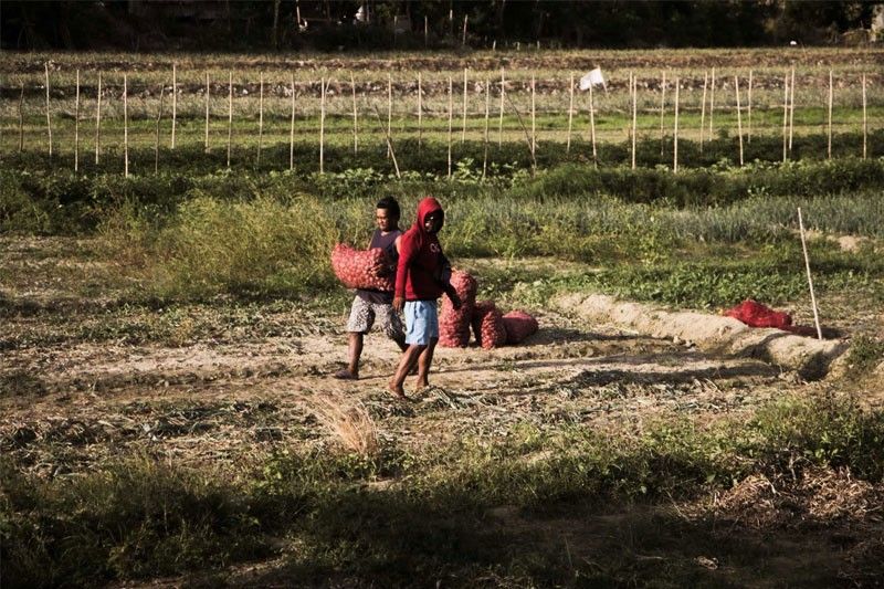 DA to launch World Bank-funded program for farmers, fisherfolk