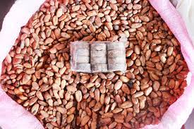 3 cacao farmers from Davao City representing PH in int&rsquo;l cocoa awards