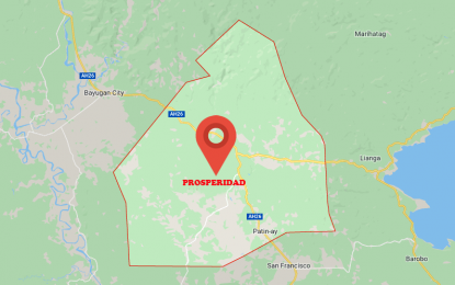 Farm seen to boost dairy output in Agusan Sur town