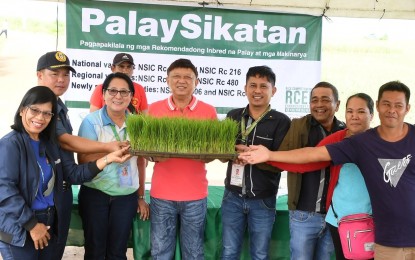 2 Negros cities pilot &lsquo;PalaySikatan&rsquo; to boost rice yield