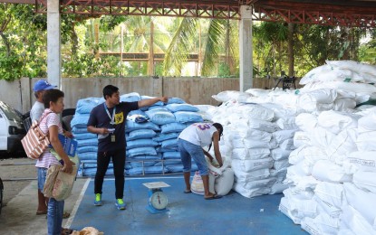 Over 2K Batac City farmers get free palay seeds