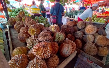 Imaging tech project for durian great help to farmers: DA