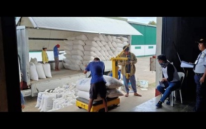 Zambales rice farmers hail higher NFA prices, gov't buying scheme