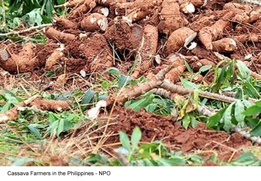 P155-M Farm-to-Market Road in Dinagat Islands Set to Boost Cassava Production 