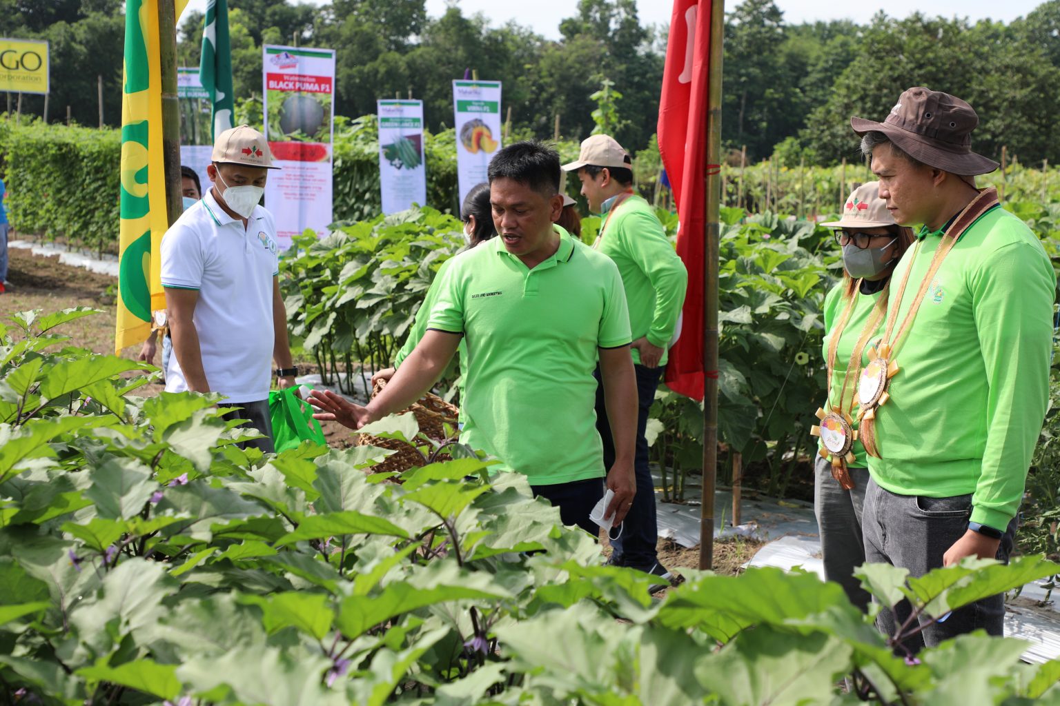 Kapampangan farmers practice lowland vegetable technologies thru DA-HVCDP project